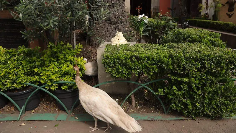OBRA ROBADA DE PARROQUIA EN SAN COSME